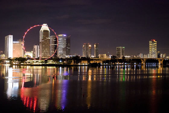 Singapore Flyer Observation Wheel