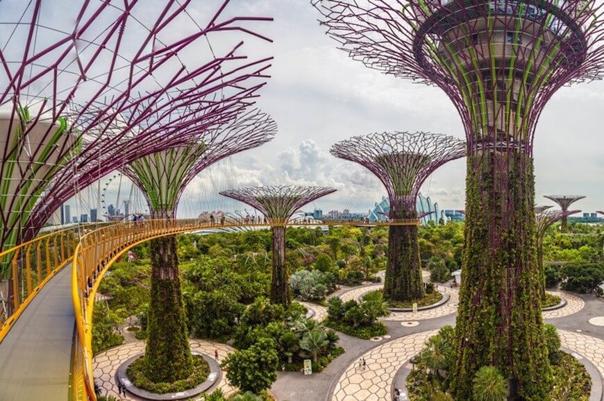 Gardens by the Bay An Avatar World in Singapore World Top Top