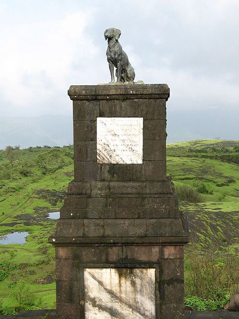 patung anjing waghya image