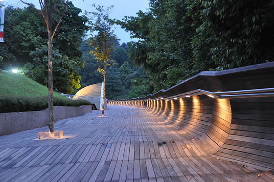 Podul Henderson Waves