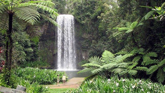 Millaa Millaa Falls Millaa Millaa Falls