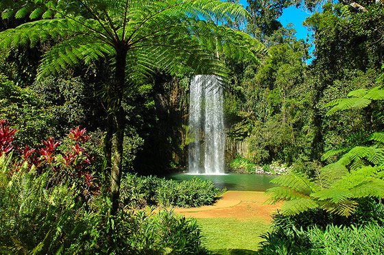 Millaa Millaa Falls - Top Waterfalls in the World - World Top Top