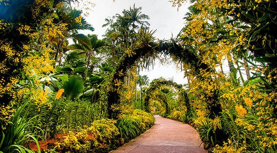 botanic gardens singapore