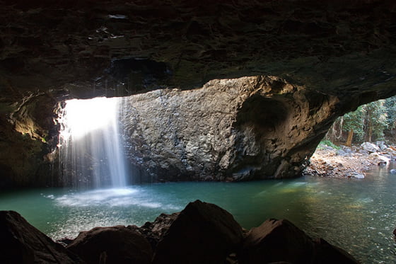 Natural Bridge Falls - Springbrook Natural Bridge Falls - Springbrook