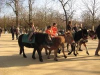 Jardin du Luxembourg - Pony Ride