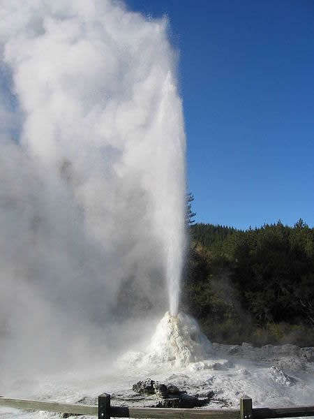 Lady Knox Geyser - Waiotapu - Rotorua Lady Knox Geyser - Waiotapu - Rotorua