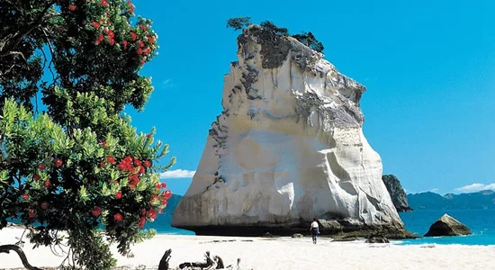 Cathedral Cove - Hahei - Coromandel Cathedral Cove - Hahei - Coromandel