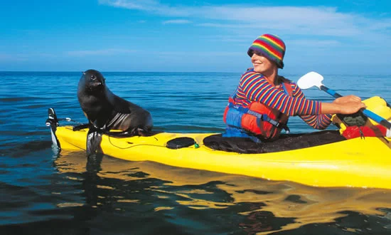 Kayaking with Seals - Abel Tasman national Park Kayaking with Seals - Abel Tasman national Park