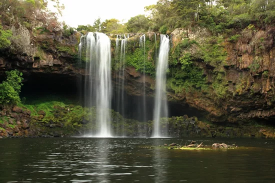Rainbow Falls - Kerikeri - Bay of Islands Rainbow Falls - Kerikeri - Bay of Islands
