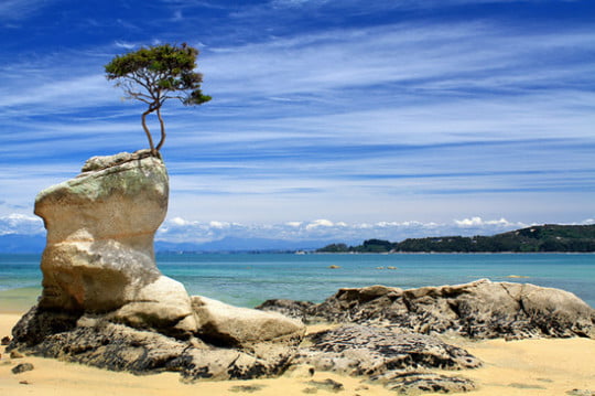 The Wonders of Abel Tasman - World Top Top