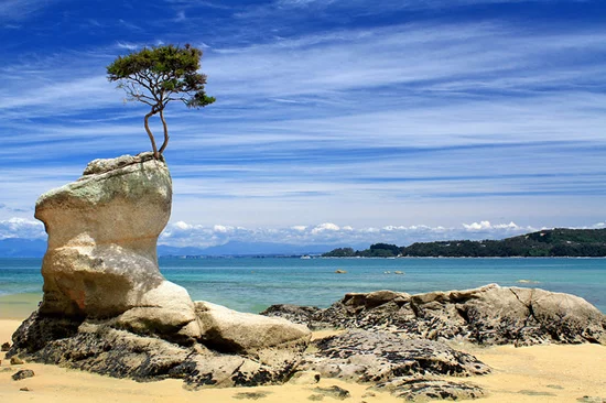 Tinline Bay - Abel Tasman Tinline Bay - Abel Tasman