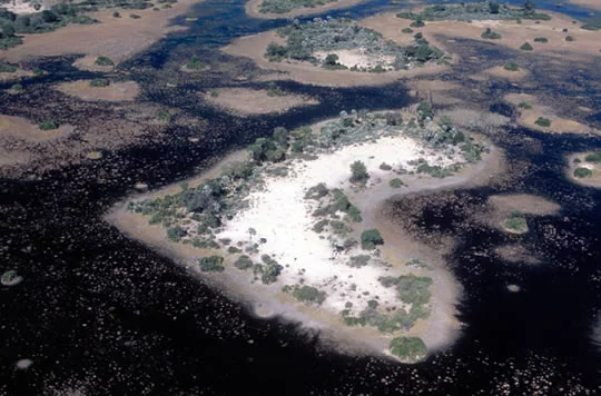 Heart-shaped Island - Botswana Heart-shaped Island - Botswana