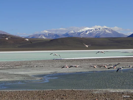 Laguna Brava Laguna Brava