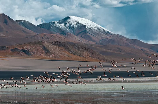 Laguna Grande - Catamarca Laguna Grande - Catamarca