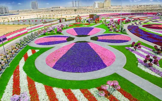 Flower Fields - Dubai Miracle Garden