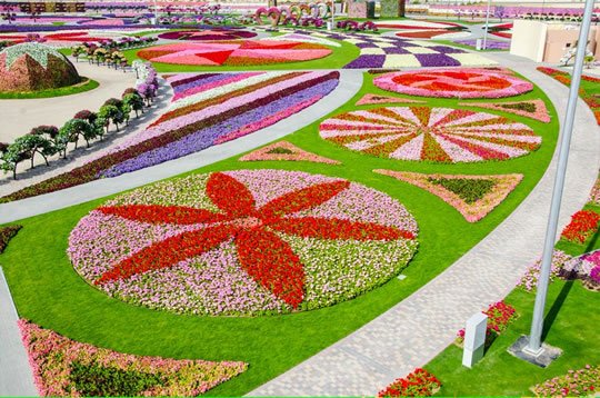 Flower Fields - Dubai Miracle Garden