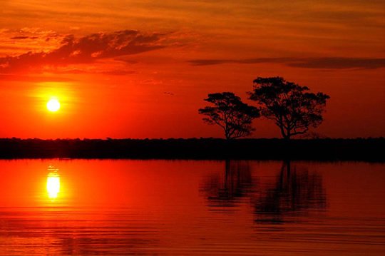 Sunset in Pantanal National Park