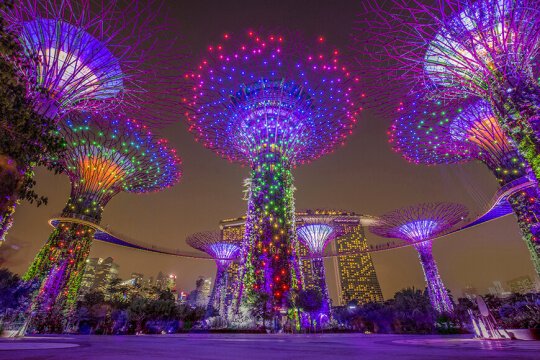 Gardens by the Bay Supertrees