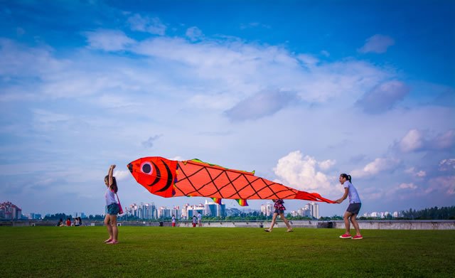 Marina Barrage Kite