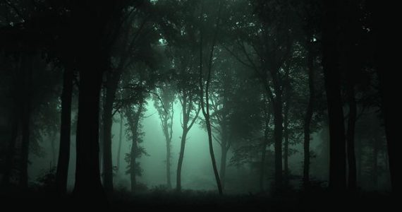 Haunted Gloomy Forest