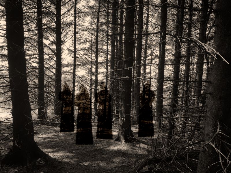Haunted Ballyboley Forest
