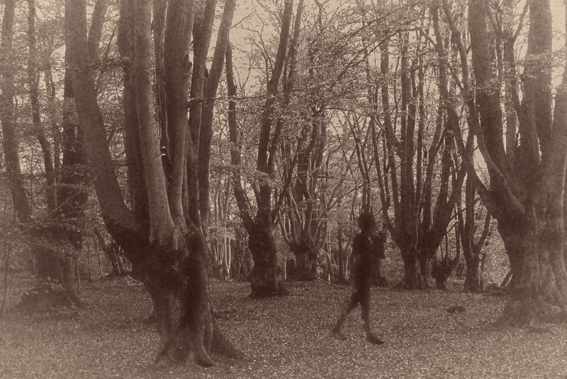 Haunted Epping Forest
