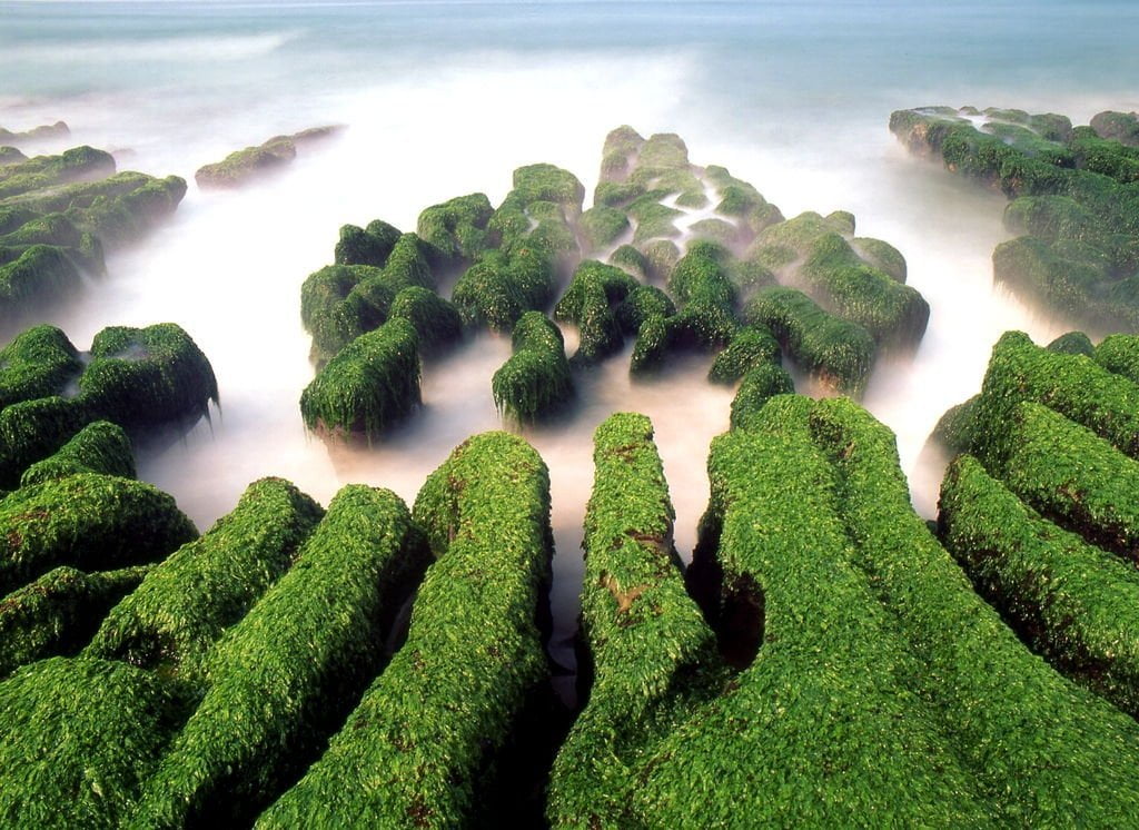 Fugui Cape - Laomei Green Reef