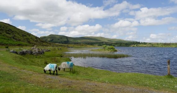 Lough Talt